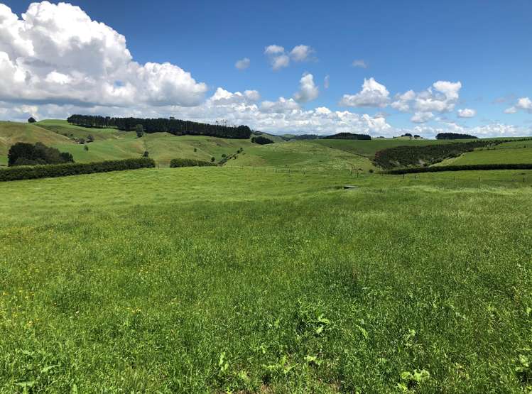 1564 State Highway 31 Kawhia Road Otorohanga_11