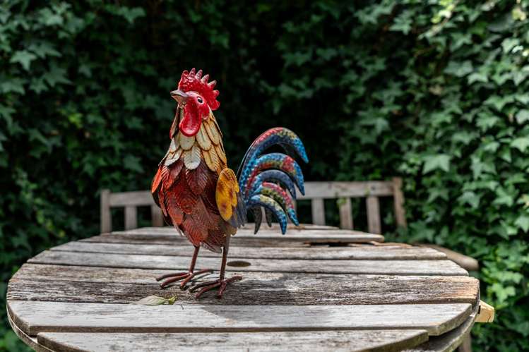 32A Cologne Street Martinborough_13