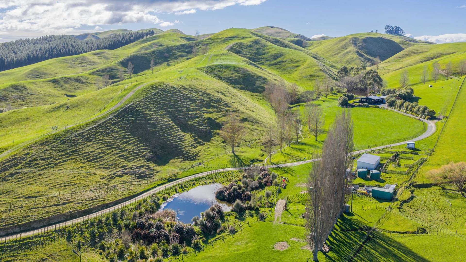 418 Tikokino Road Waipawa_0