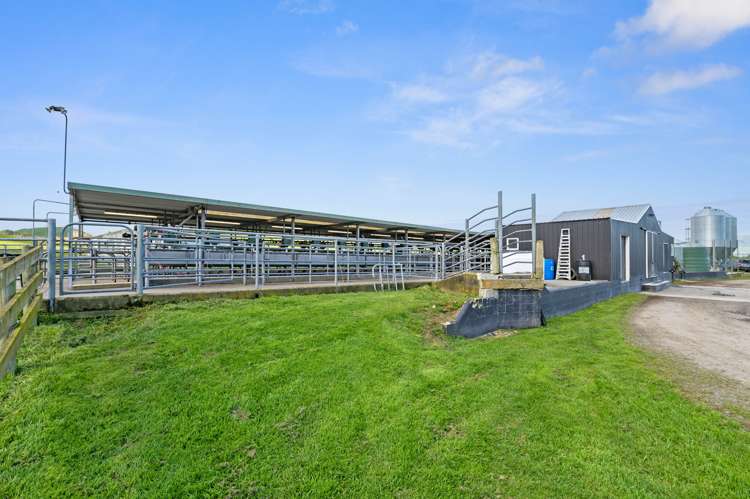 385 Whirinaki Valley Road Ngakuru_8