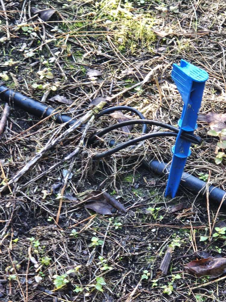 Heath Road Waiharara_19