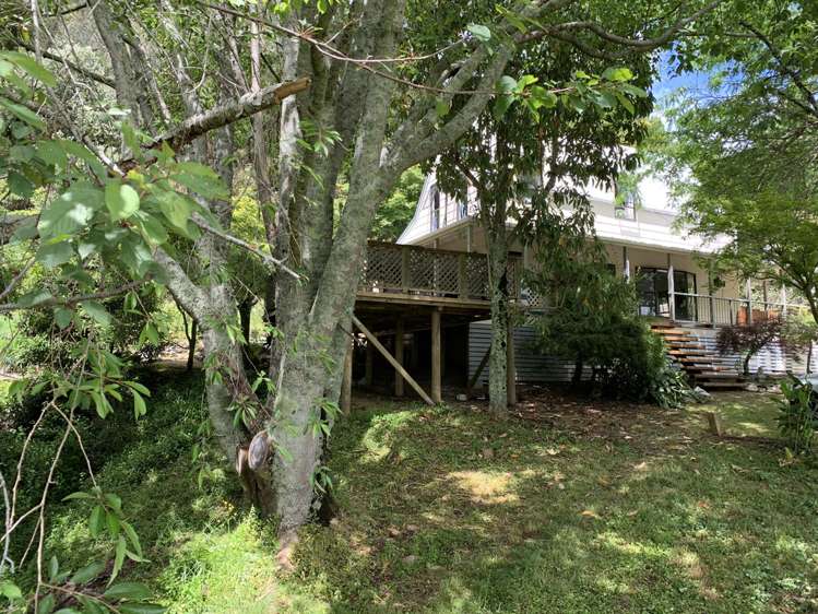 213 Packard Road Kahurangi National Park_17