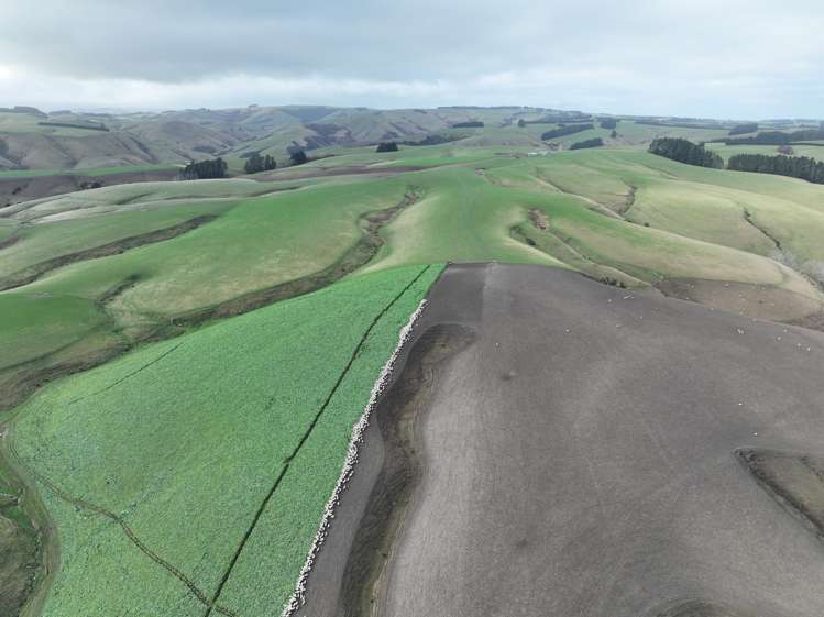 174 Mcculloch Road Balclutha_18