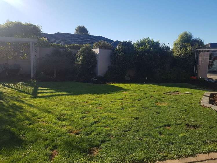 55 Lowry Avenue Redwood_5
