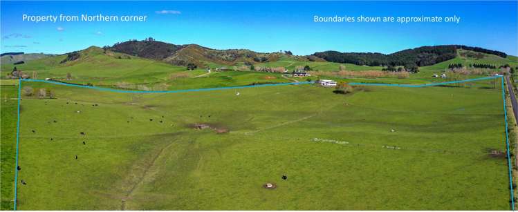 171 Martin Road Waerenga_2