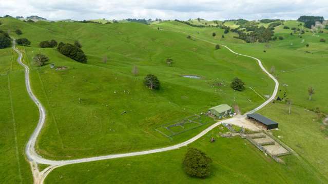 263ha Arapohue Beef Finishing Farm