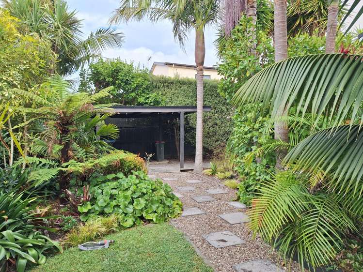 5/9 Wright Road Point Chevalier_17