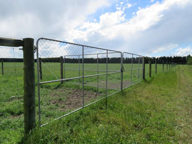 146 Elgin Road Elgin_14