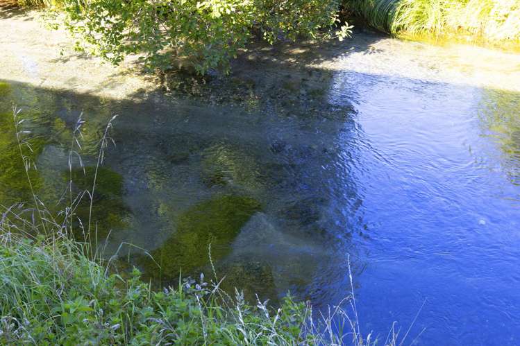 905 State Highway One Waitahanui_25