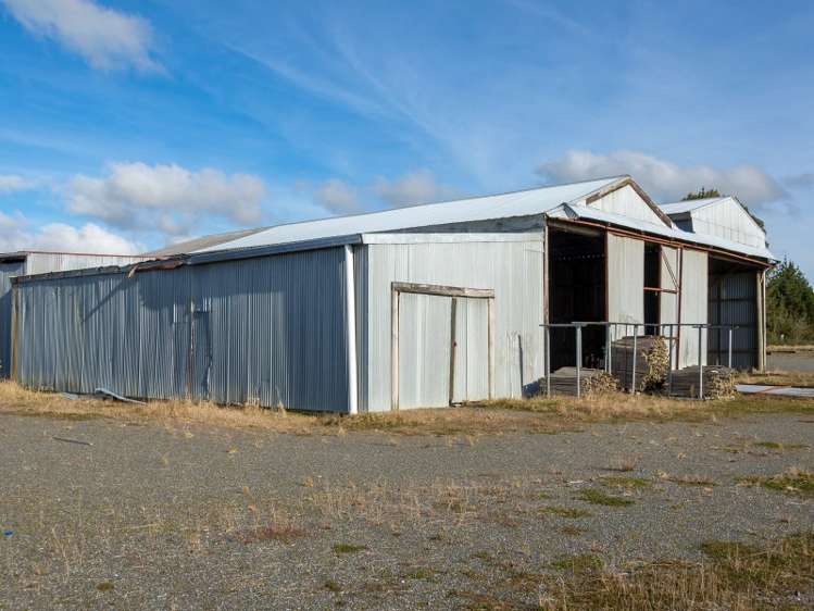 50 Mamaku Street Mamaku_25