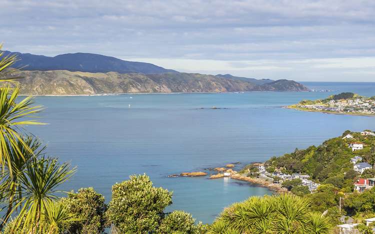 178 Nevay Road Karaka Bays_5