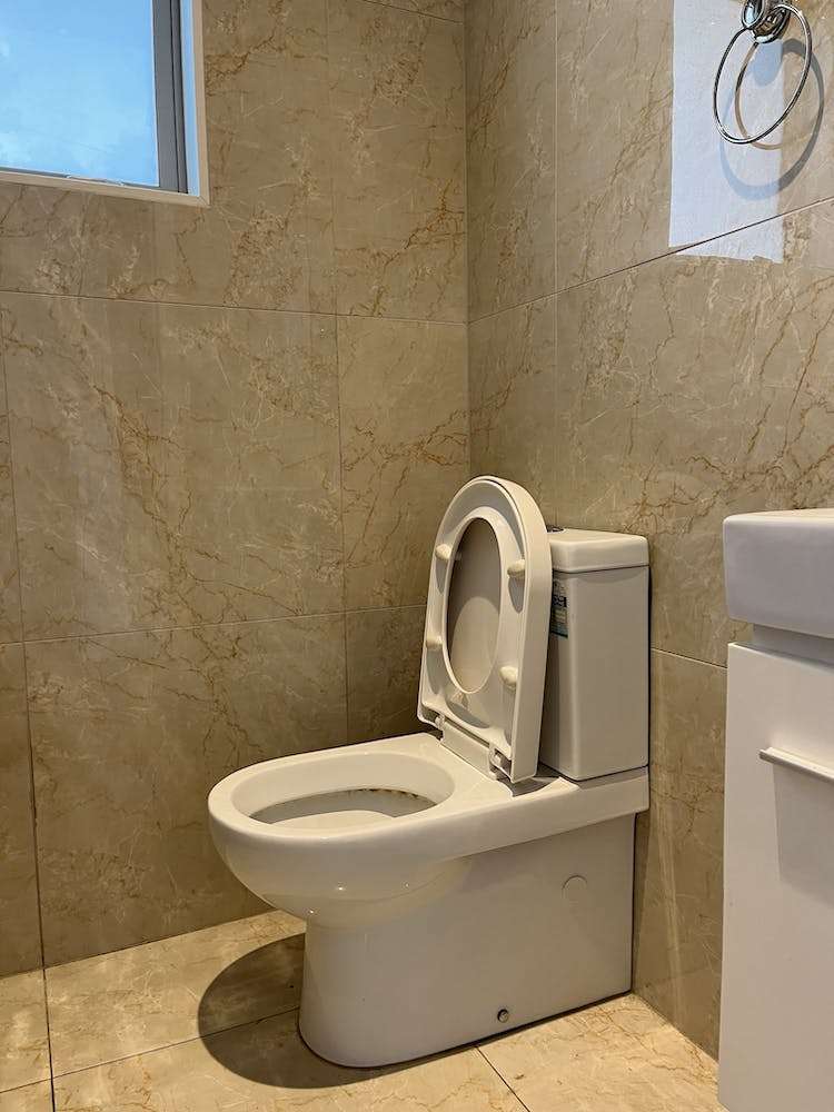 17 Limmer Place Browns Bay_11