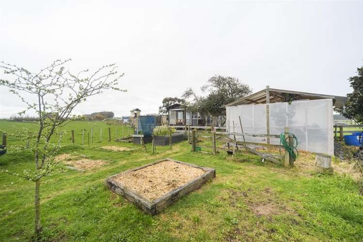 390 Beamish Road Bulls_23