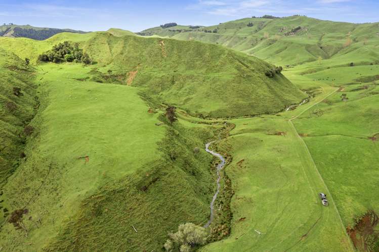 1741 Tikitiki Road Te Kuiti_24