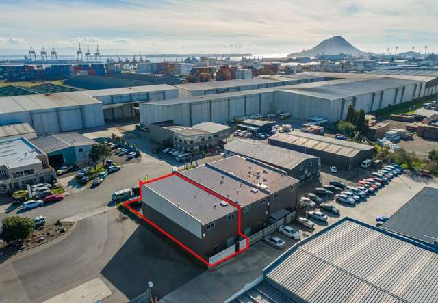 12A Hocking Street Mt Maunganui_1