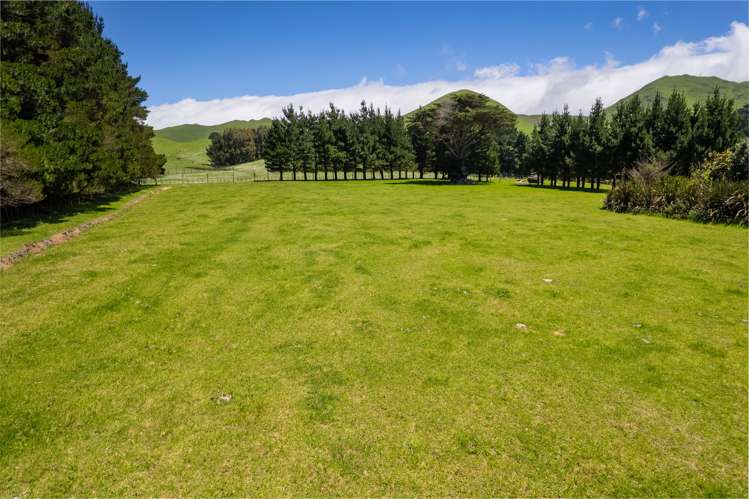 321 Te Kakapo Valley Road Dannevirke_18