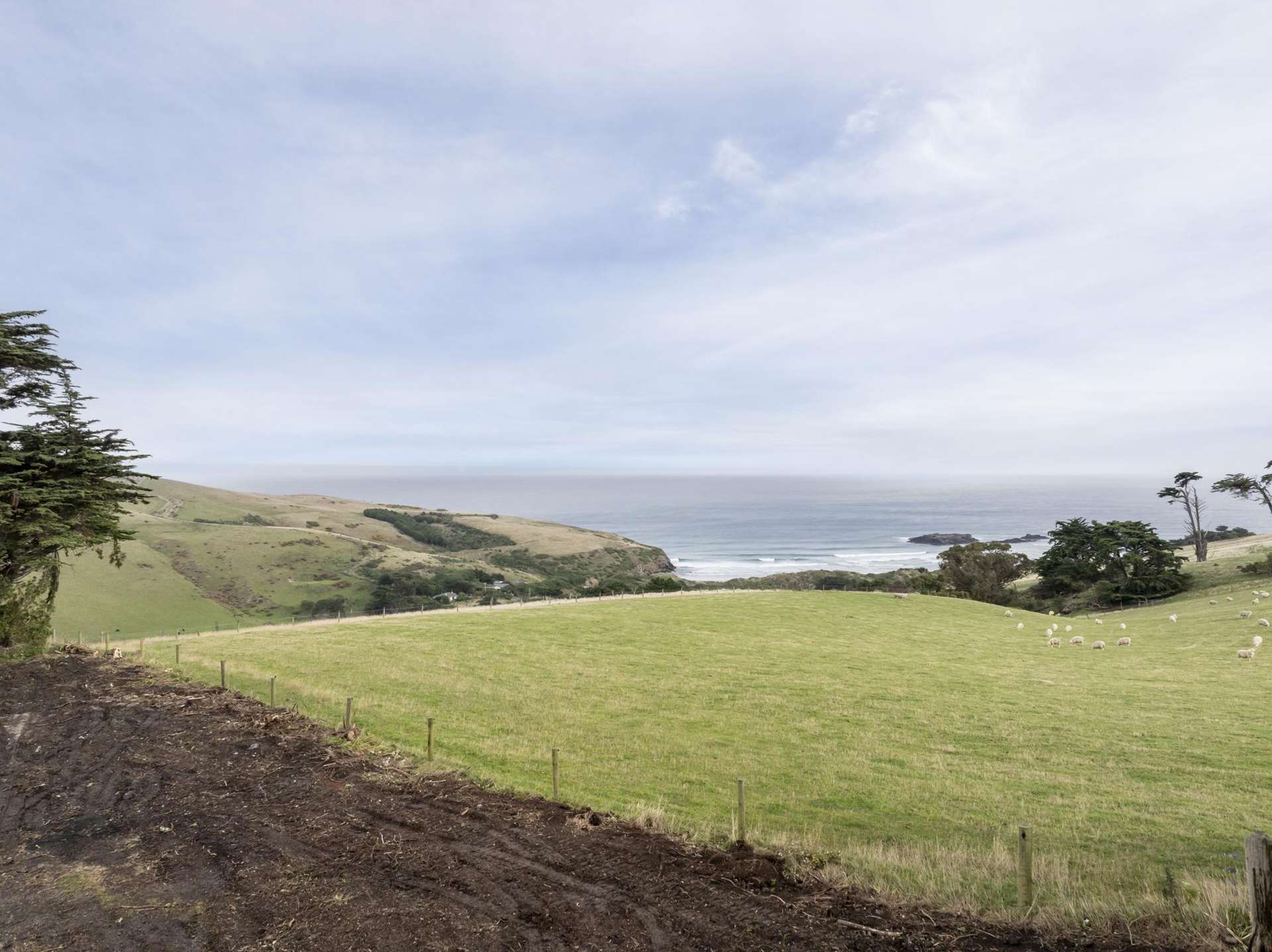 116 Centre Road Ocean Grove_0