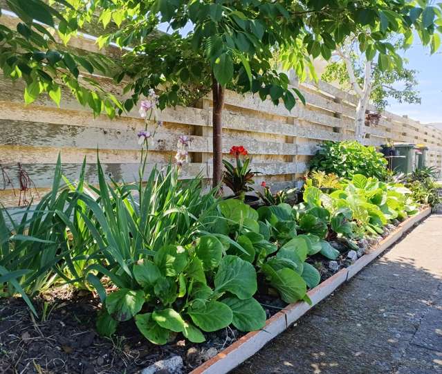 2 Bone Crescent Hawera_1