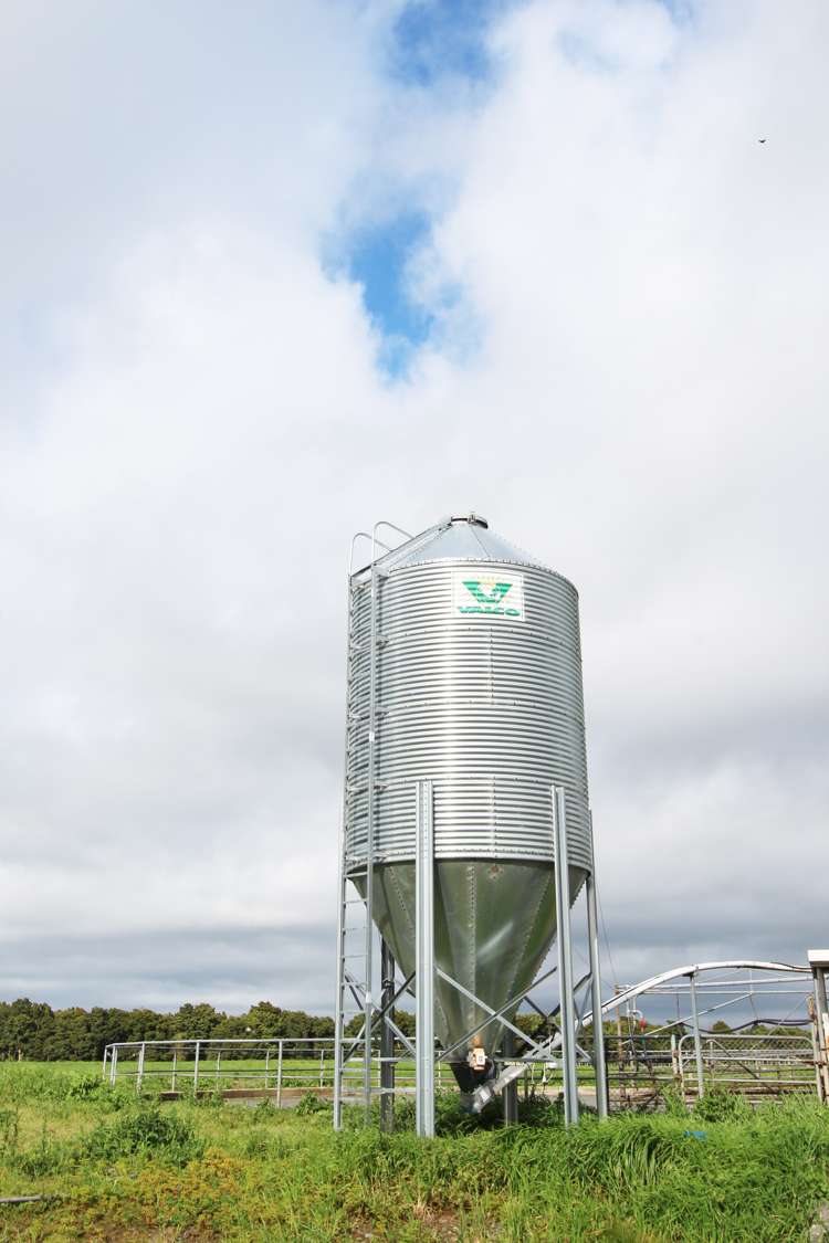 155 Bluff Road Pahiatua_14