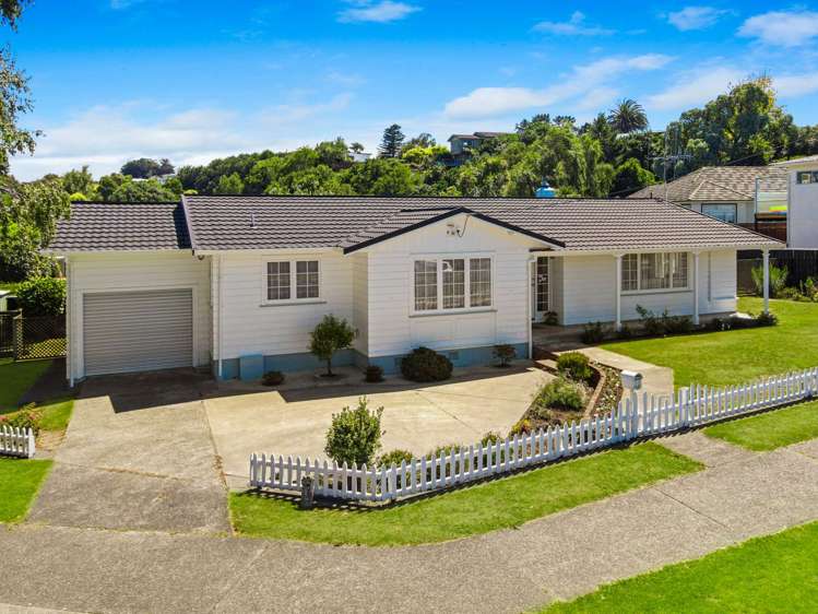 73 Parkes Avenue Saint Johns Hill Whanganui Houses for Sale One
