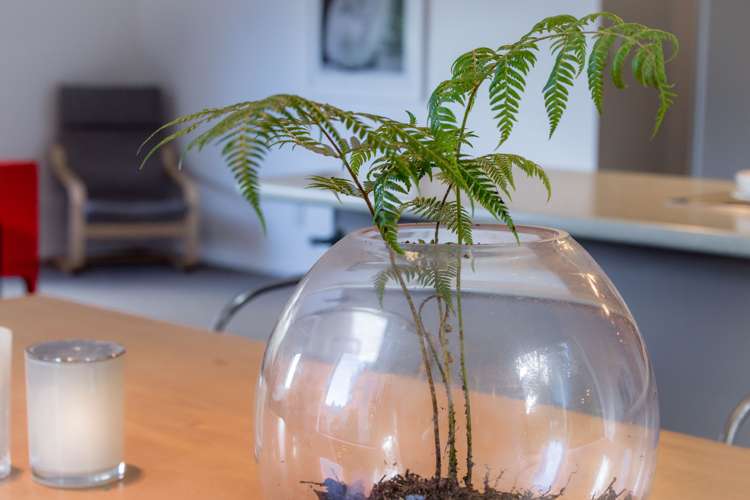 85 Laingholm Drive Laingholm_24