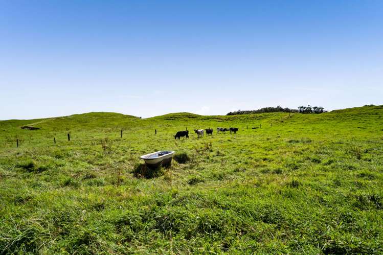 855 Dover Road Okato_19