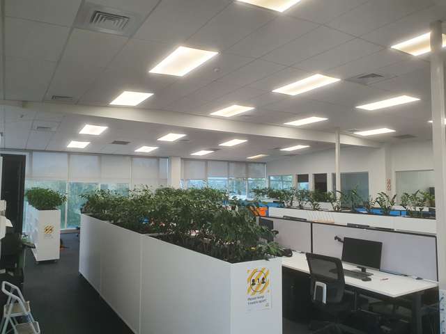 C/131 Lincoln Road Henderson_4