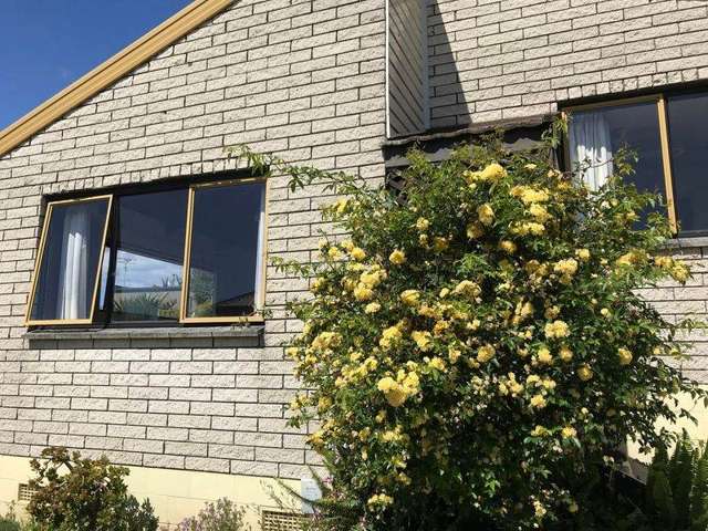 293A Waihi Road Judea_2