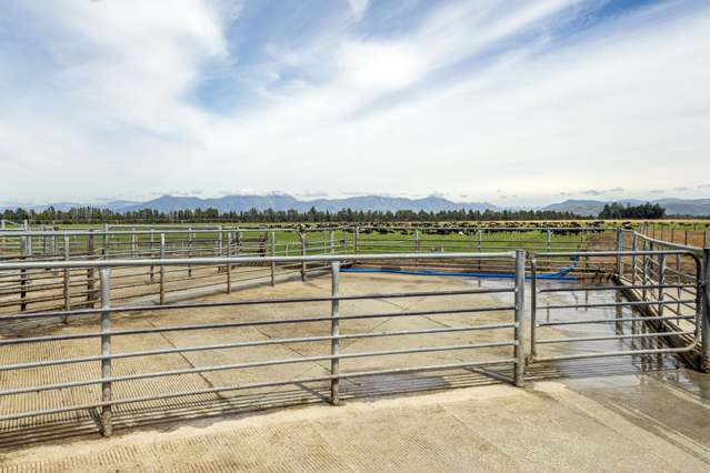 2247 Tinwald Westerfield Mayfield Road Ashburton_3