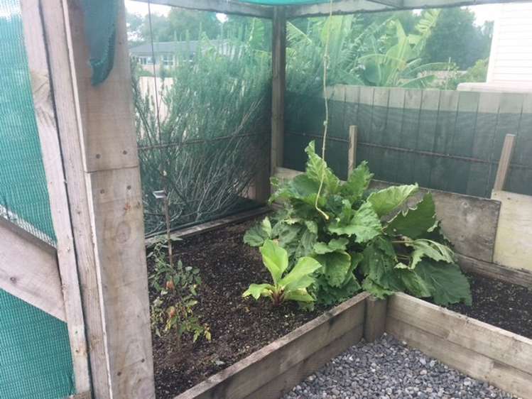 47 Jack Boyd Drive Mangawhai Heads_4