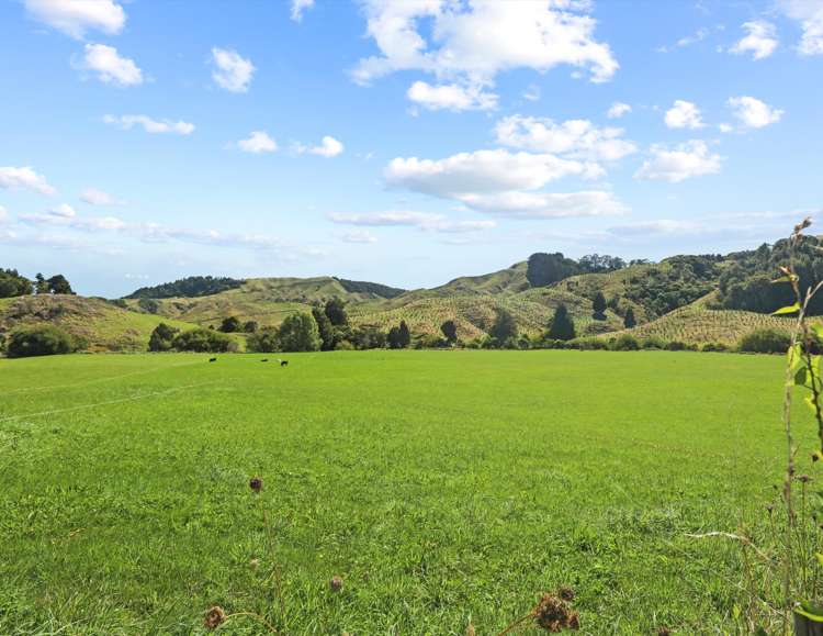 2705 Te Anga Road Waitomo District_17