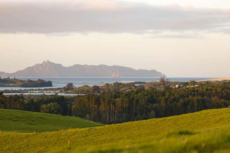 10 Wallbank Way Mangawhai_13