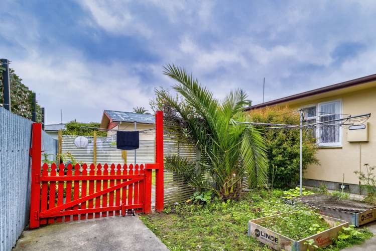 349 Kennedy Road Pirimai_12