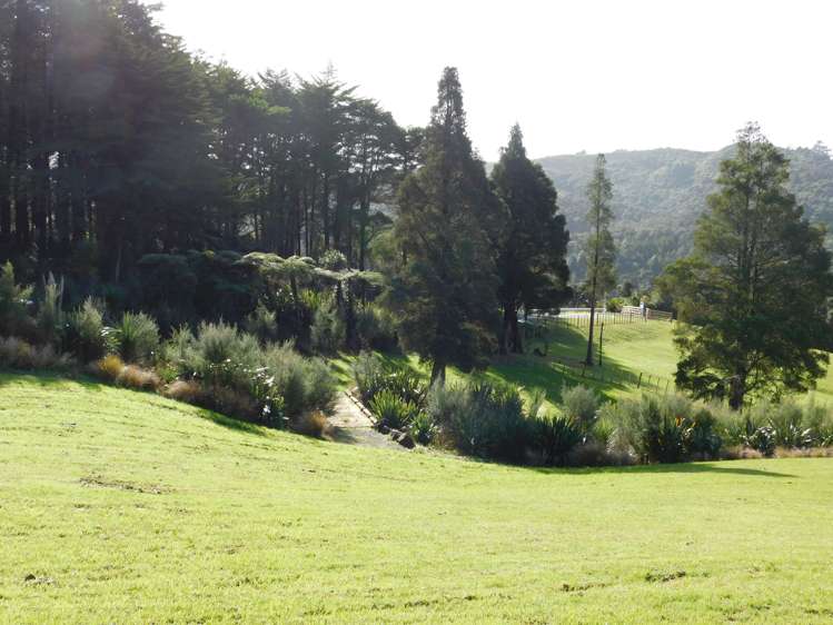 840 Matakana Valley Road Whangaripo_10