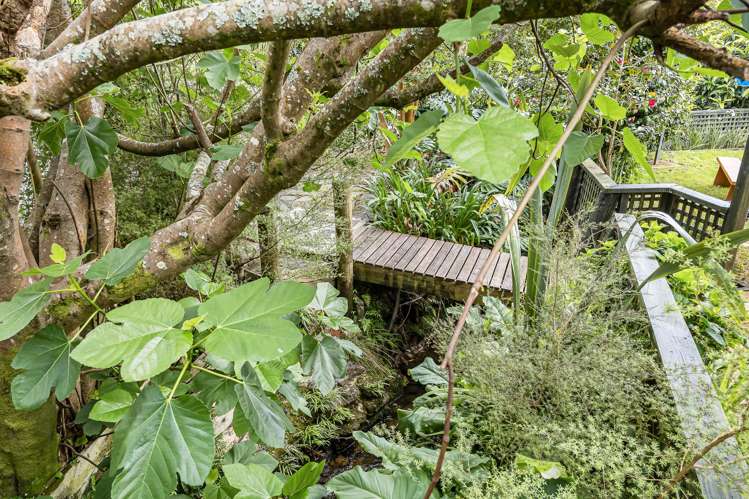 155 Hutchinson Avenue New Lynn_7