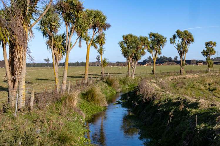 89 Chisnalls Road Hinds_24