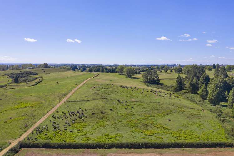 117 Meadway Road Ngahinapouri_3