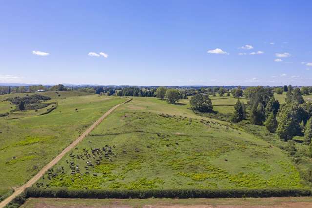 117 Meadway Road Ngahinapouri_3