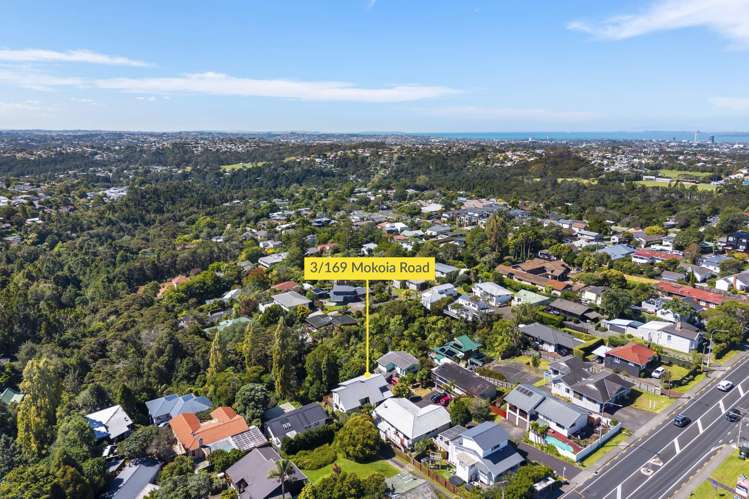 3/169 Mokoia Road Birkenhead_21