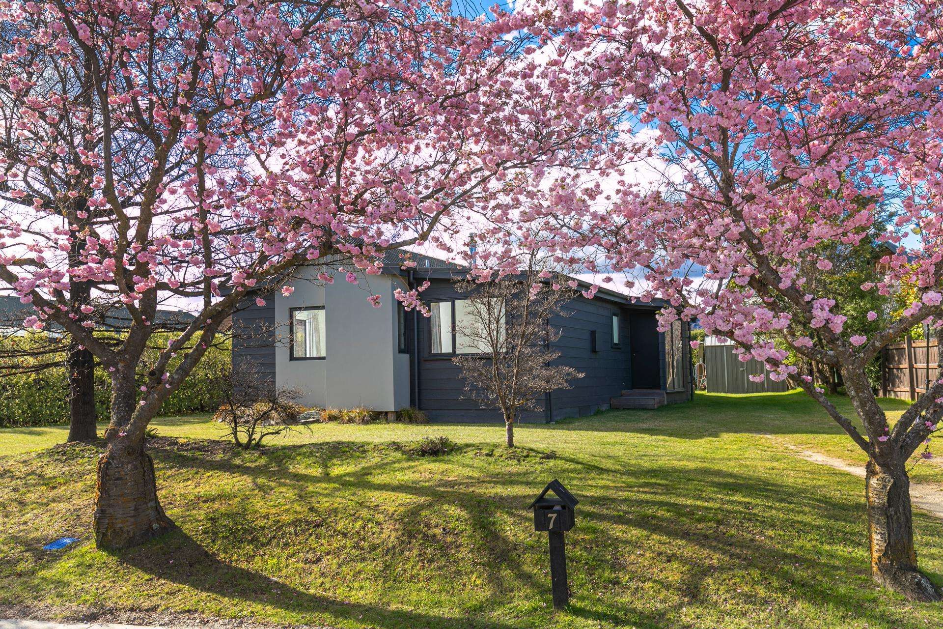 7 Cherry Court Wanaka_0