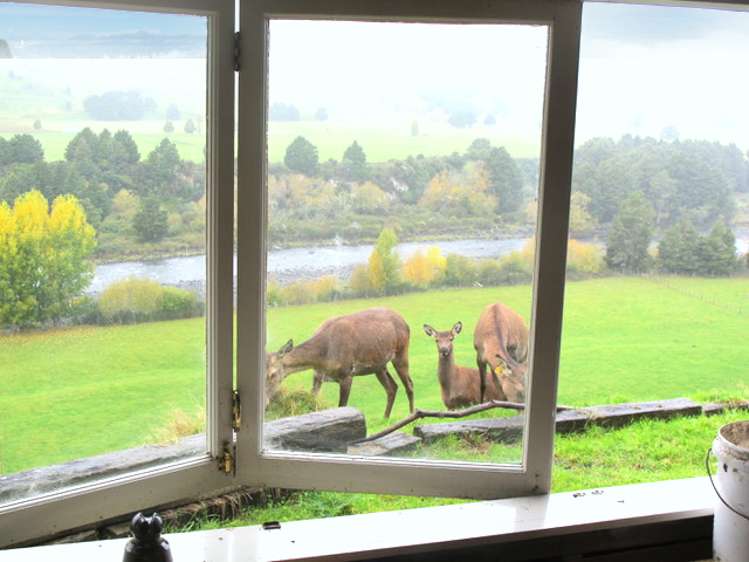 Stone Jug Road Kakahi_17