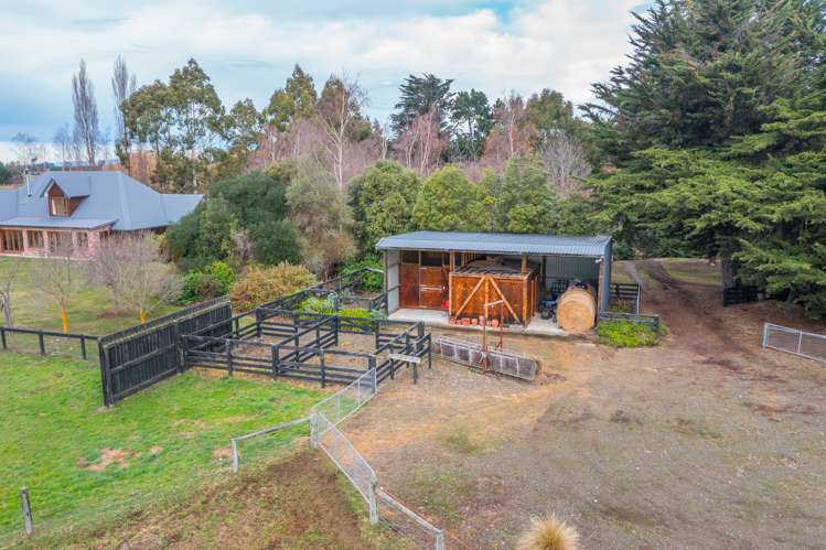 231 Carters Road Amberley_5