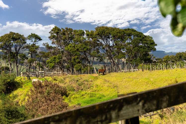 171 Pinchgut Road Kaukapakapa_26