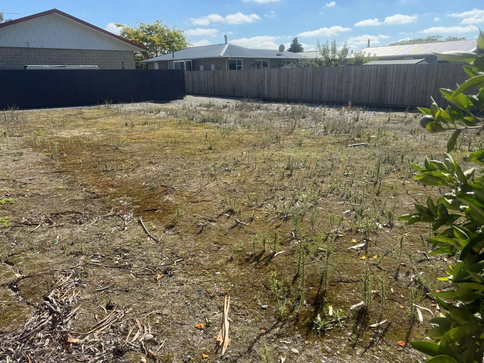 103A Grove Street Tinwald_0