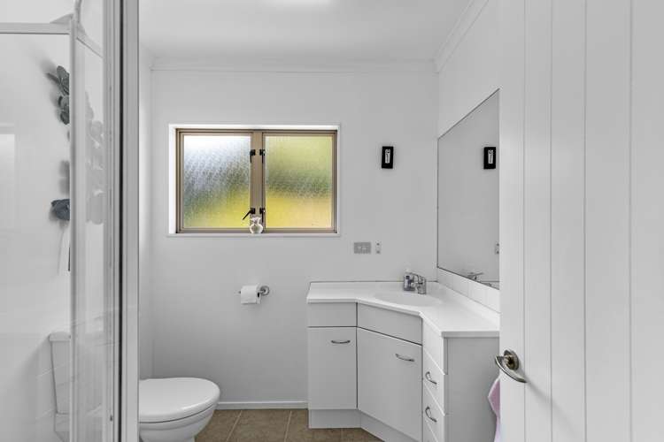 732 Tahuroa Road Morrinsville_9