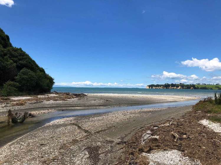 31 Hurihuri Road Hibiscus Coast Surrounds_2