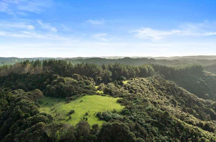 The hut at 320 Upper Waiwera Road, in Puhoi. The spot is a 45-minute drive from Auckland City. Photo / Supplied