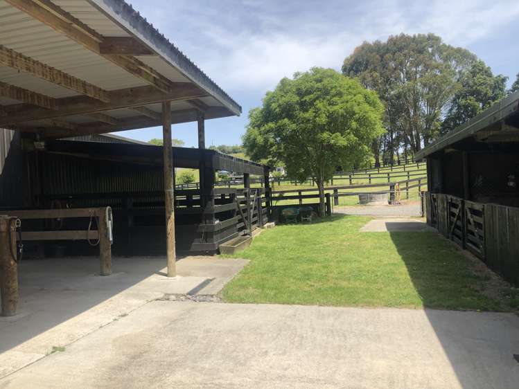 57 Pukerimu Lane Cambridge_10