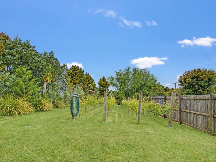 156 Petley Road Paparoa_31