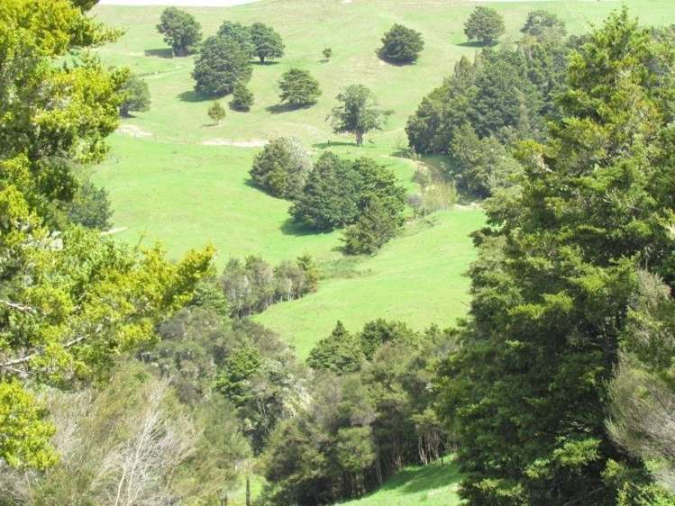 1871 State Highway 14 Mangapai and Surrounds_29